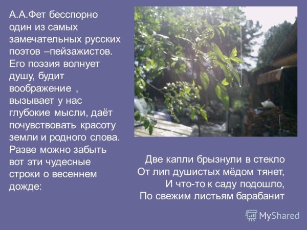 Пейзажная лирика Фета стихи