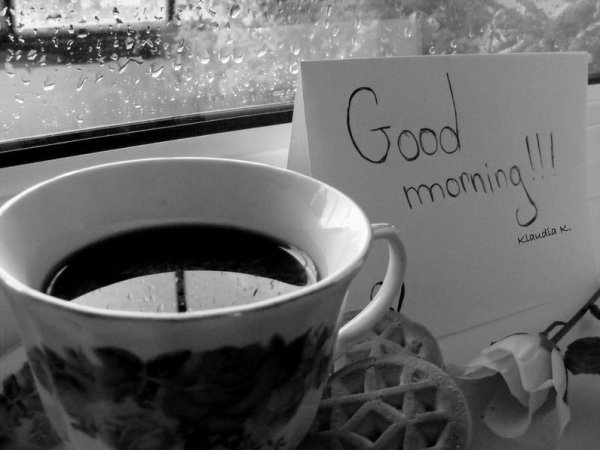 Доброе дождливое утро