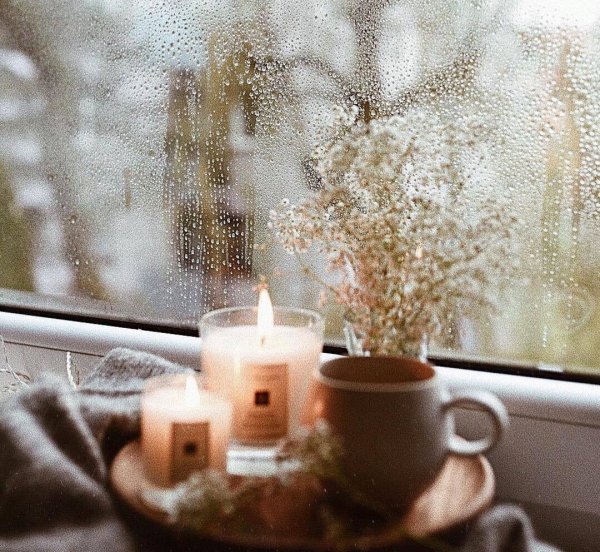 Чай и дождь за окном