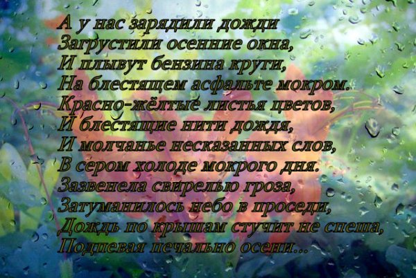 Дожди: стихи