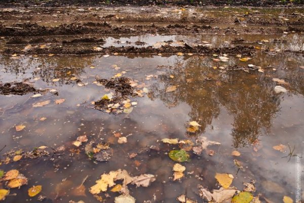 Грязь осенью