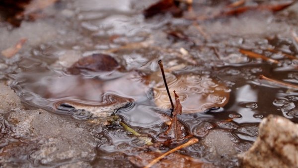 Осень слякоть дождь