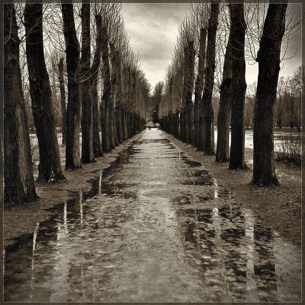 Грязь осень слякоть Питер