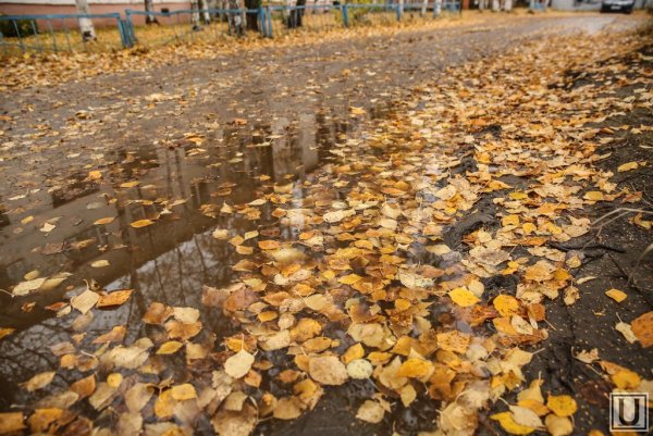 Осенняя слякоть