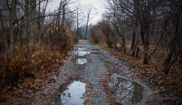 Осень слякоть