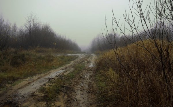 Осенняя слякоть