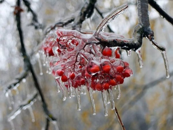 Ледяной дождь Шатура