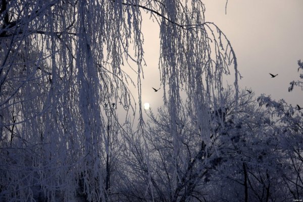 Атмосферное явление ледяной дождь
