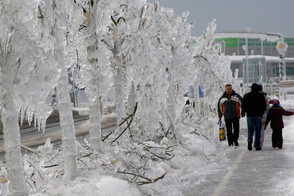 Ледяной дождь 2010