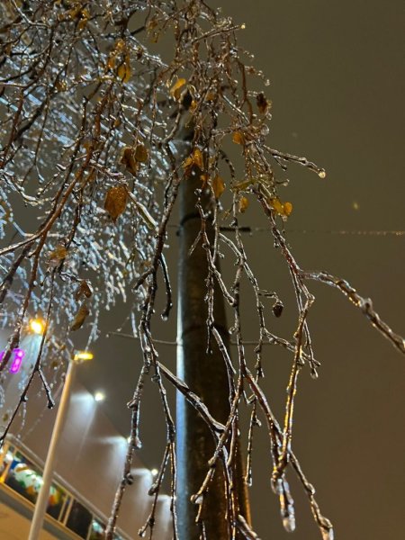 Ледяной дождь