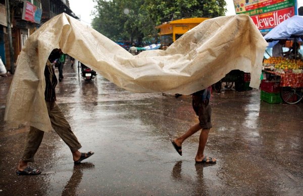 Прячется от дождя