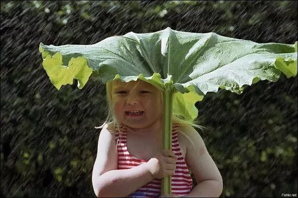 Человек лопух