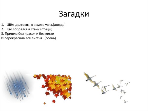 Загадка долговяз в землю