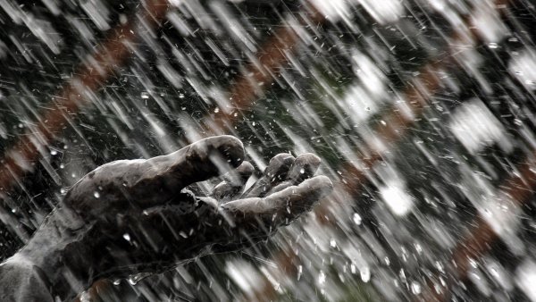 Слезы под дождем