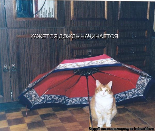 Кажется дождь начинается
