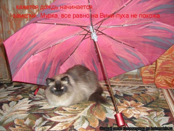 Кажется дождик начинается