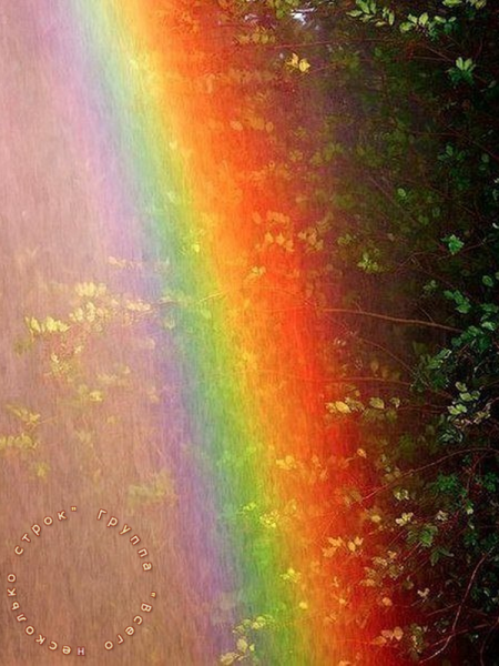 Дождь для радуги