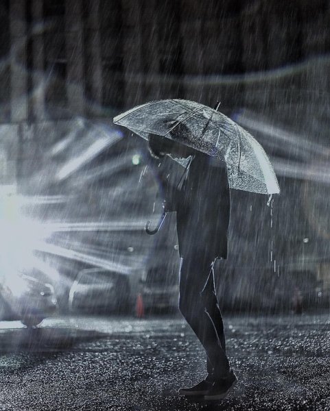 Дождливый день дождь