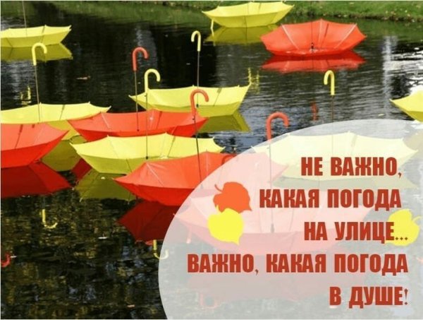 Хорошего настроения в дождливую погоду