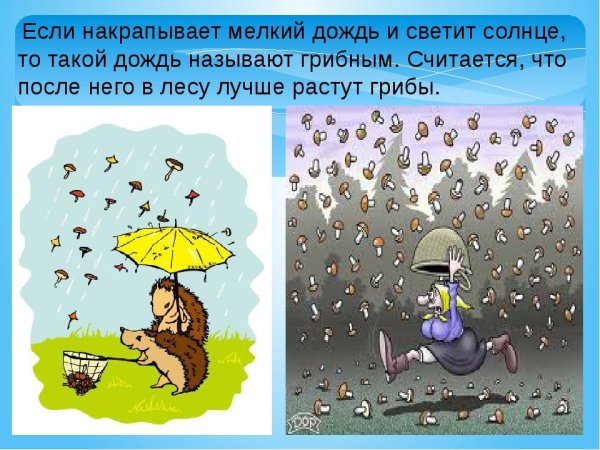Дождь для презентации
