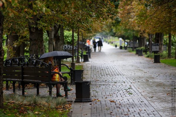 Дождливая осень в Краснодаре