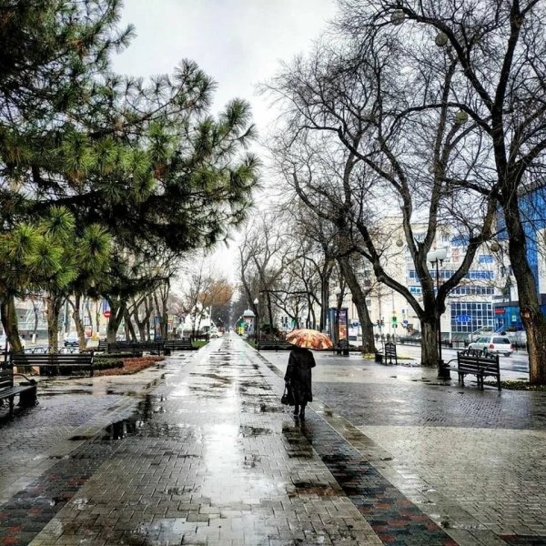 Дождь в Краснодаре