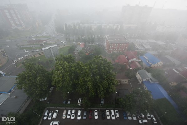 Дождь в Краснодаре