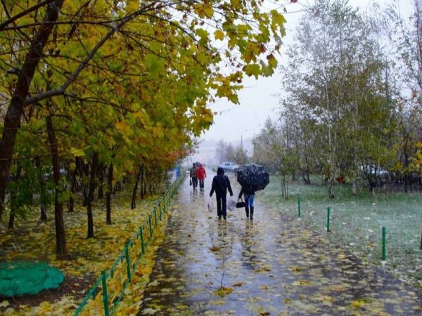 Дождливая осень в Москве