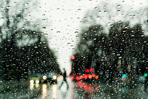 Зимний дождь