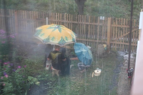 Шашлыки под дождем приколы