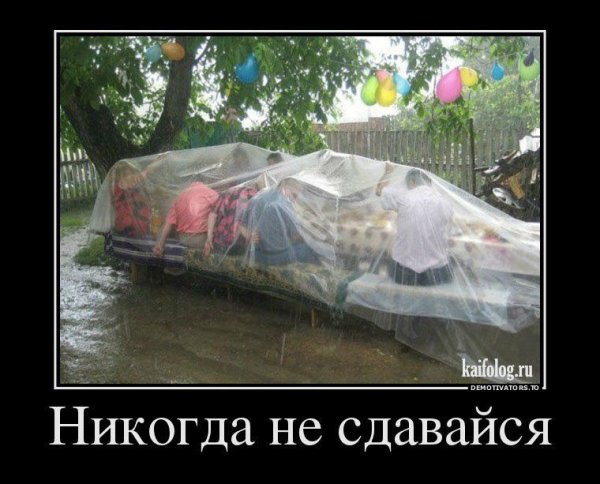 Шашлыки под дождем приколы