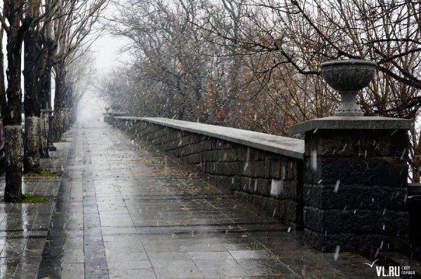 Дождливый Владивосток