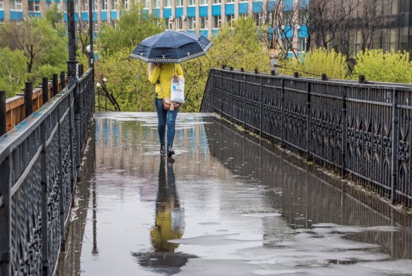 Владивосток дождик