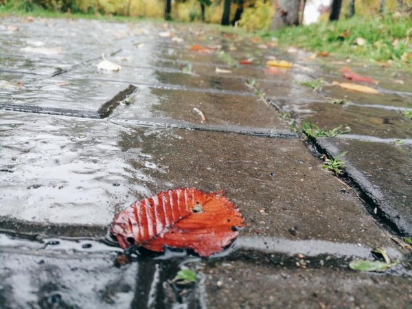 Новосибирск дождик осенью