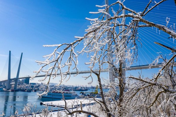 Снежный циклон Владивосток 2020