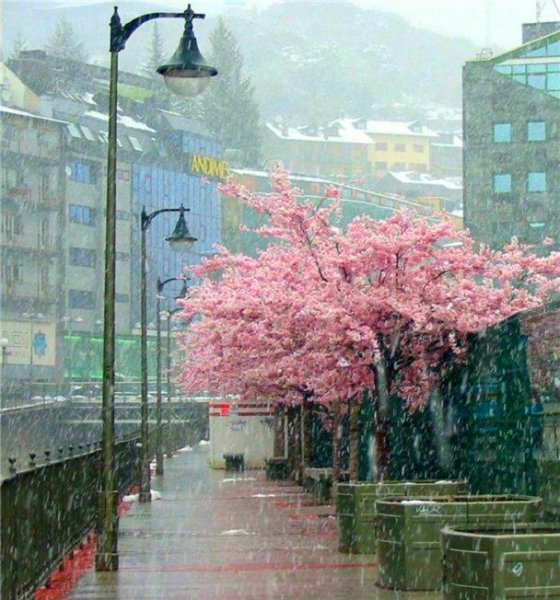 Дождливая Япония