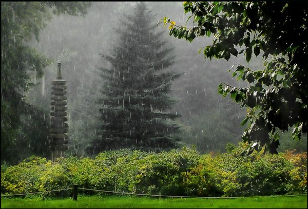 Япония дождь