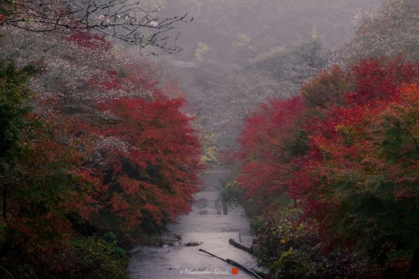 Фотограф Хиденобу Сузуки.