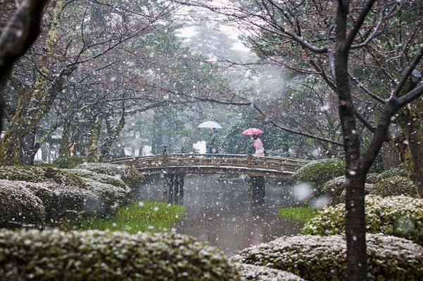 Зимний сад Япония