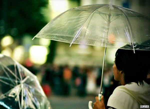 Цую сезон дождей