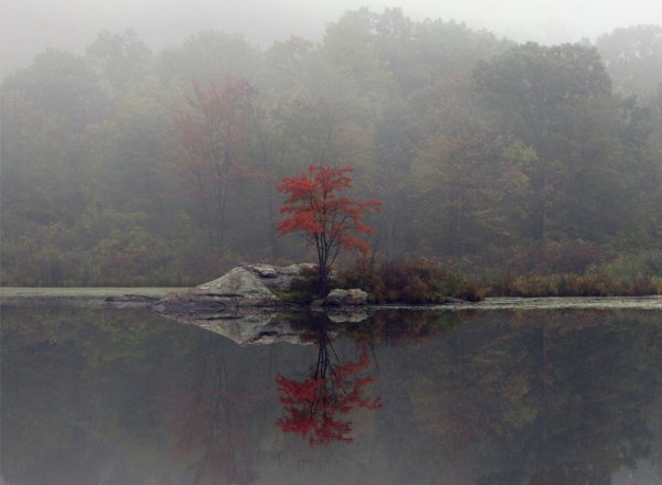 Японский пейзаж туман