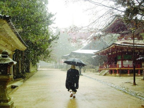 Японские храмы дождь