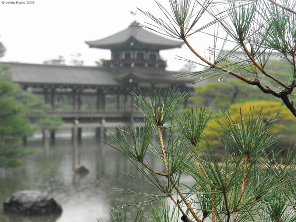 Япония дождь