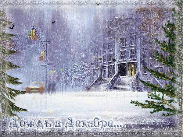 Дождливая зима
