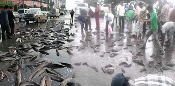 Рыбный дождь в Гондурасе
