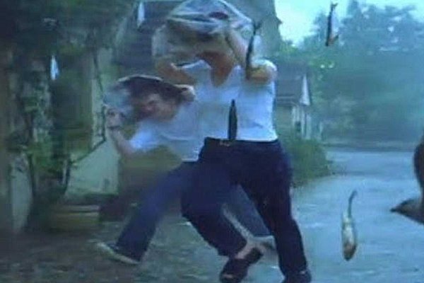 Дождь из рыбы в Гондурасе