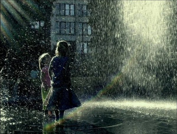 Бегут под дождем