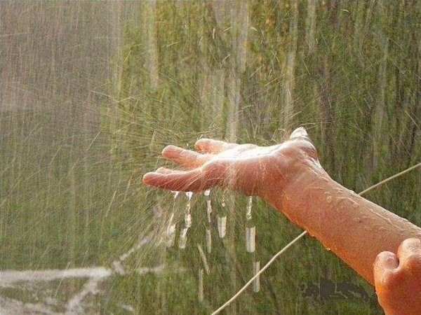 С первым дождиком