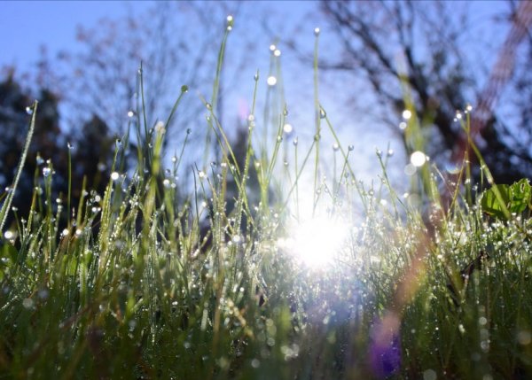 Весна солнце