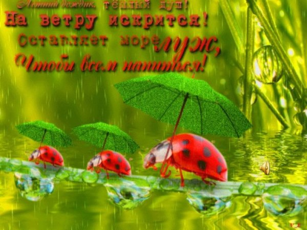 Открытка летний дождь